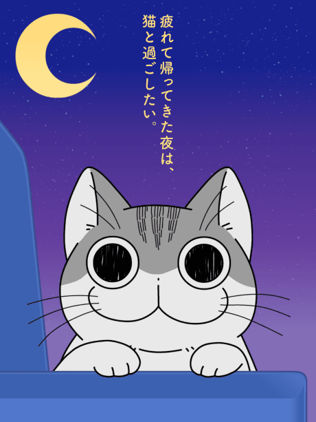 Вечера с кошкой 2